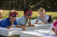 ABZ Zzzoo Lieveheersbeestje 90x190x10 bedlade matras met hoes