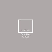 kleur code dove grey
