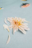 Snurk dekbedovertrek hopeless romantic 2 persoons 200x200/220