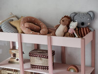 Tweens boekenkast koraal roze