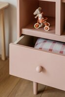 Babushka boekenkast pink