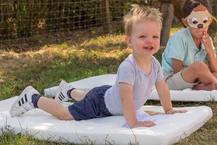 ABZ reismatras oprolbaar Stokstaartje 60x120 