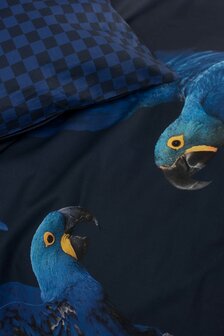snurk blue parrot detail