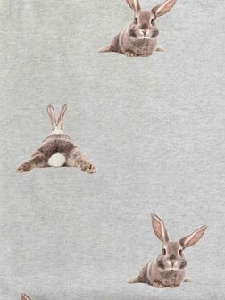 bunny print