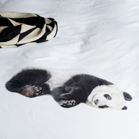 slaperige panda