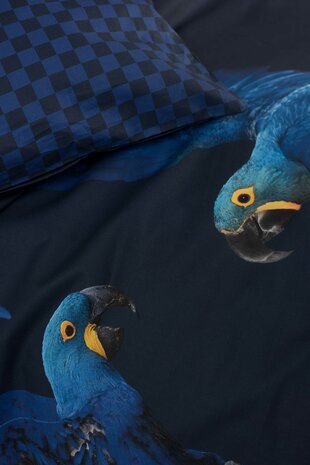 Snurk dekbedovertrek Blue parrot Lits-Jumeaux 260x200/220