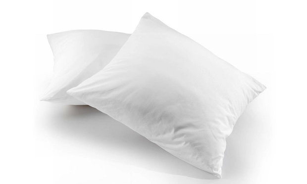 ABZ Zzzoo kussen luxaforel 60x70